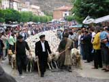 TRADITIONAL MARKET OF SAN PEDRO MANRIQUE  