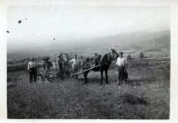 Carrascosa de la Sierra